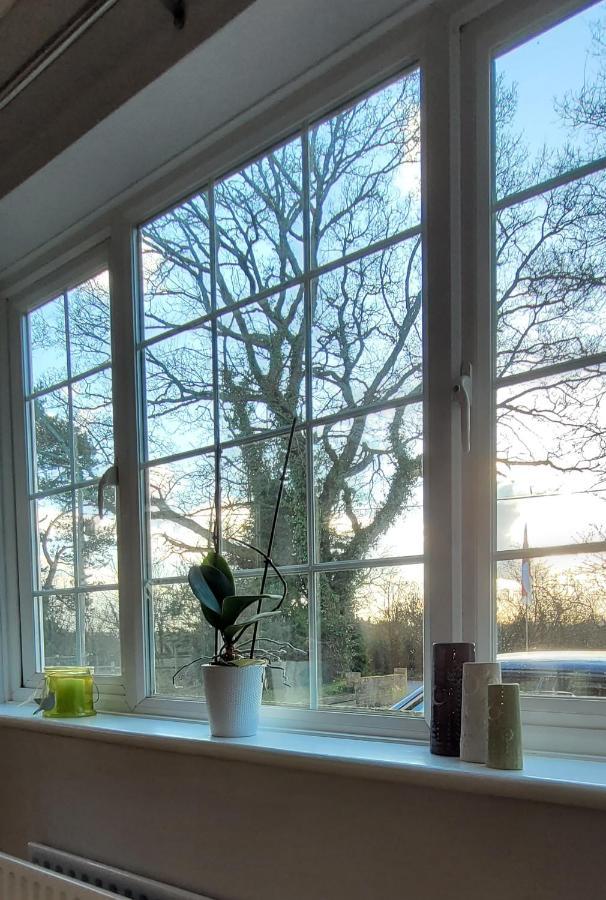 Ha'Penny Acre Bed & Breakfast Sherfield English Dış mekan fotoğraf
